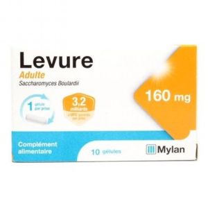 Mylan Levure 160mg Adulte - 10 gélules