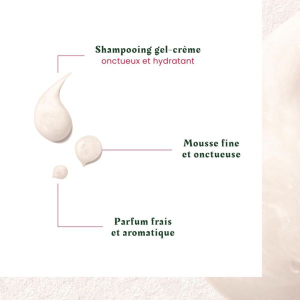 Neopur - Shampooing anti-pelliculaire - Cuir chevelu sec 150 ml