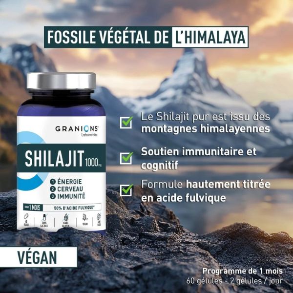 Shilajit 1000 mg - 60 gélules